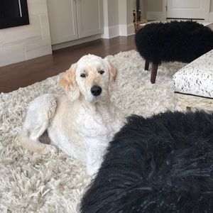 Meet your Posher, Lori